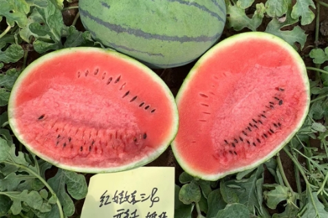 qyѻ3
