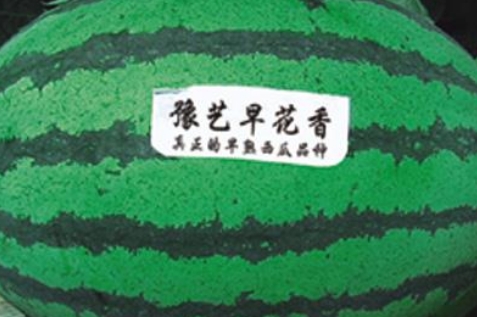 qyѻ绨