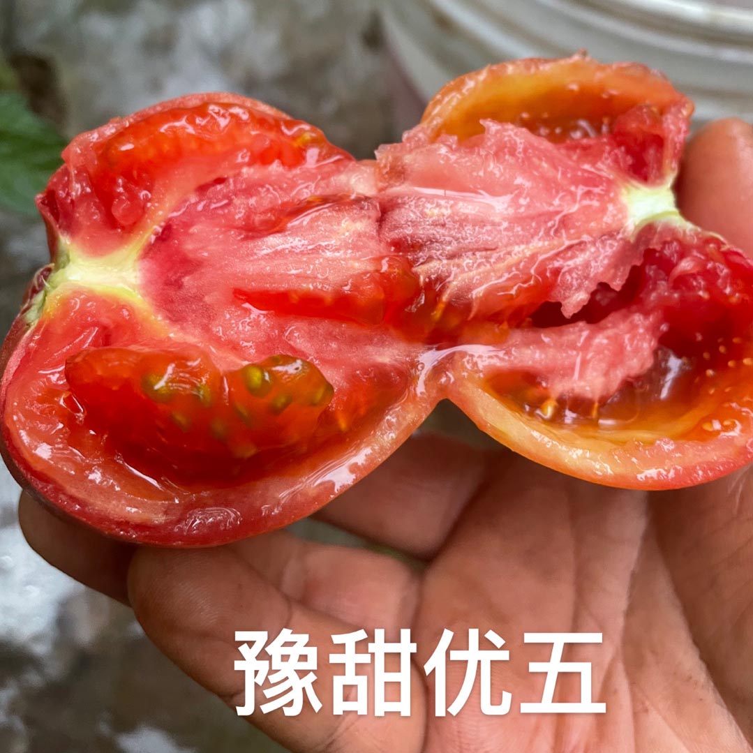 qyѻ