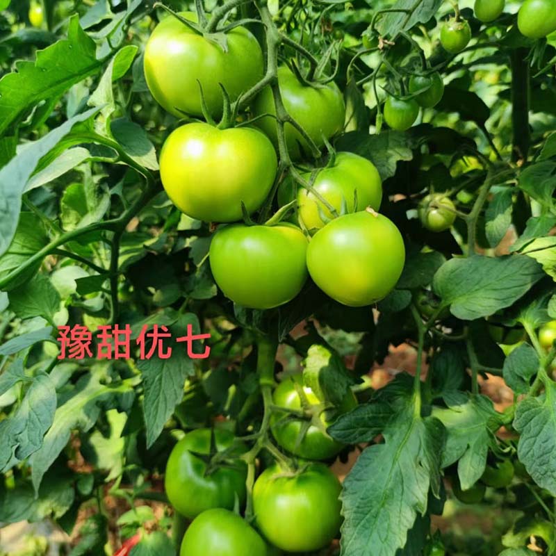 qyѻ